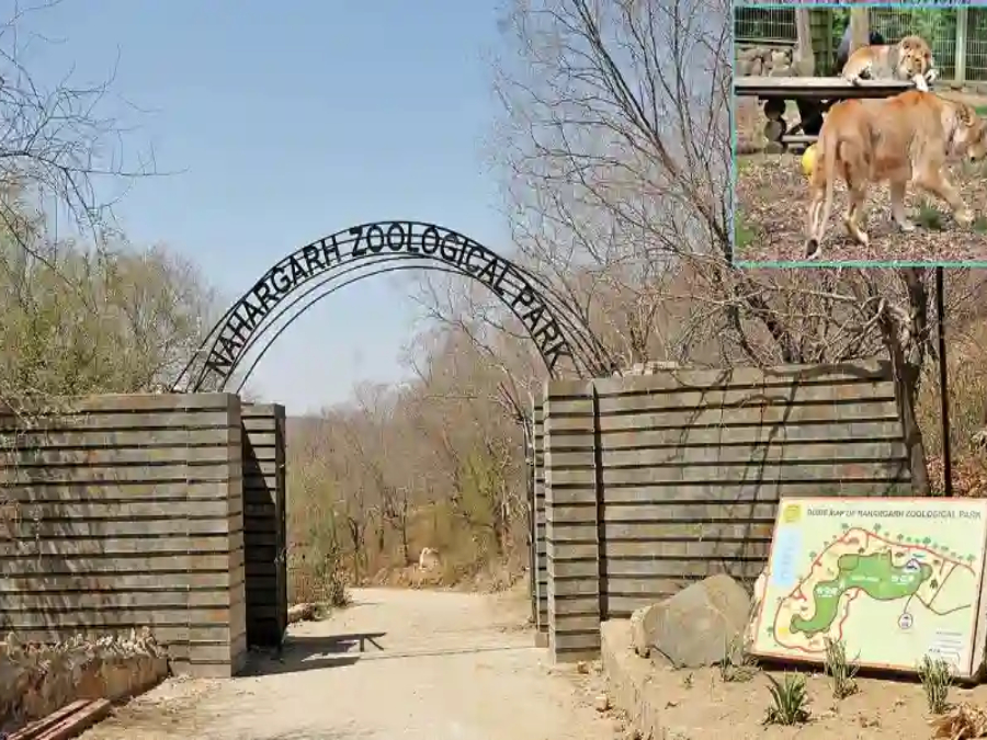 Nahargarh Biological Park